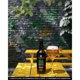 Biere pale ale Session - Castelain - 5.50% Vol. - 75cl