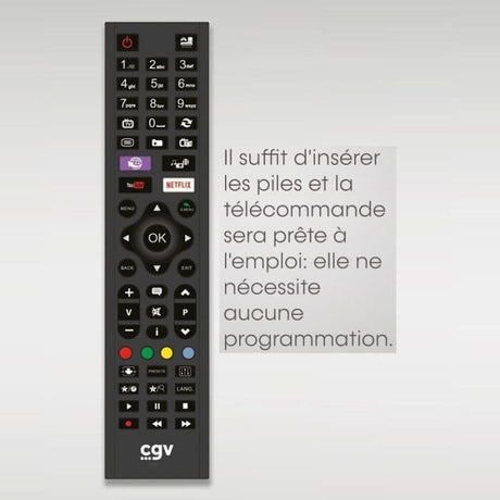Télécommande de remplacement - CGV - FIDELIO Samsung - Pour téléviseurs Samsung - Sans programmation - Prete a l'emploi