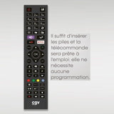 Télécommande de remplacement - CGV - FIDELIO Hisense - Pour téléviseurs Hisense - Sans programmation - Prete a l'emploi