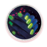 Vernis a ongle - CLEMENTONI - Mon Laboratoire Des Ongles - Coffret scientifique ludique et créatif