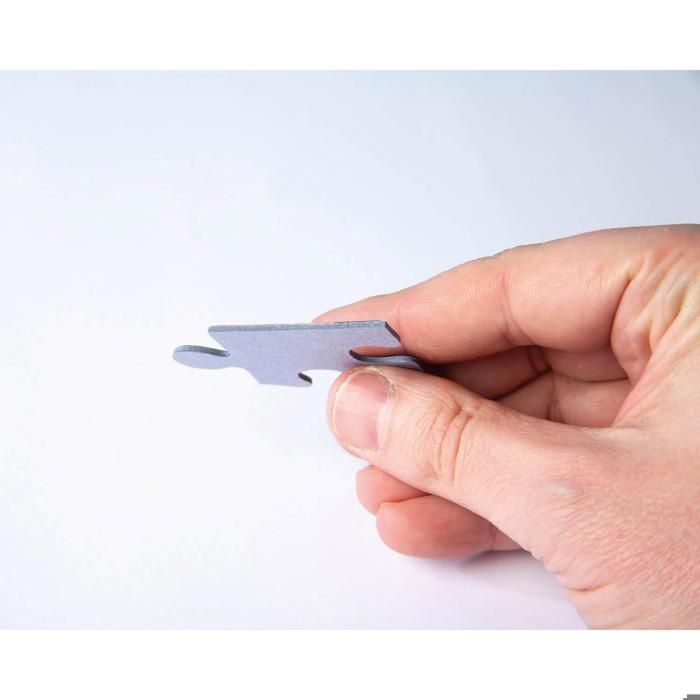 Puzzle 500 pieces + poster : Jaguar dans la jungle