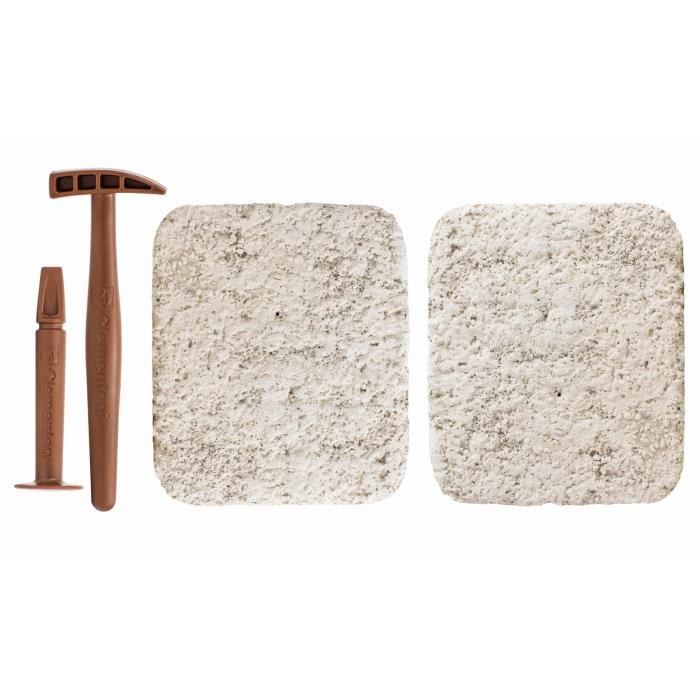 Clementoni - Science & Jeu - ArchÈo Ludic - T-Rex & TricÈratops