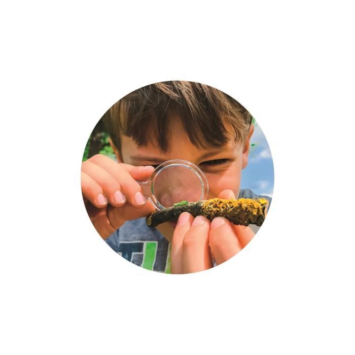 La maison des insectes - Clementoni - Science & Jeu - Jeux Scientifiques