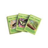 CLEMENTONI - La maison des insectes - Accessoires d'observation - Transportable - Des 7 ans