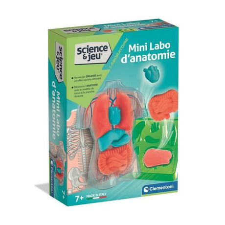 Mini Labo d'anatomie CLEMENTONI