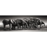 CLEMENTONI - Compact 1000 pieces Panorama - Herd of Giants