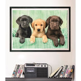 CLEMENTONI - Compact 1000 pieces - Three Labs