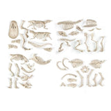 Clementoni - Science & Jeu - ArchÈo Ludic - Proies et PrÈdateurs