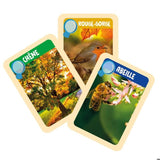 CLEMENTONI - Les apprentis explorateurs