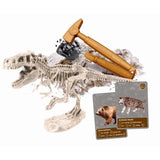 Clementoni - Sciences et jeu - L'histoire de la vie sur Terre - RÈalitÈ Virtuelle - Plus de 50 expÈriences - FabriquÈ en Italie