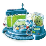 Clementoni - Sciences et Jeu - La cité des fourmis - Observatoire de fourmies - Fabriqué en Italie