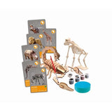 CLEMENTONI - Animaux planete Réalité - Coffret scientifique - Experiences scientifiques et activités virutelles - Moules, peintures,