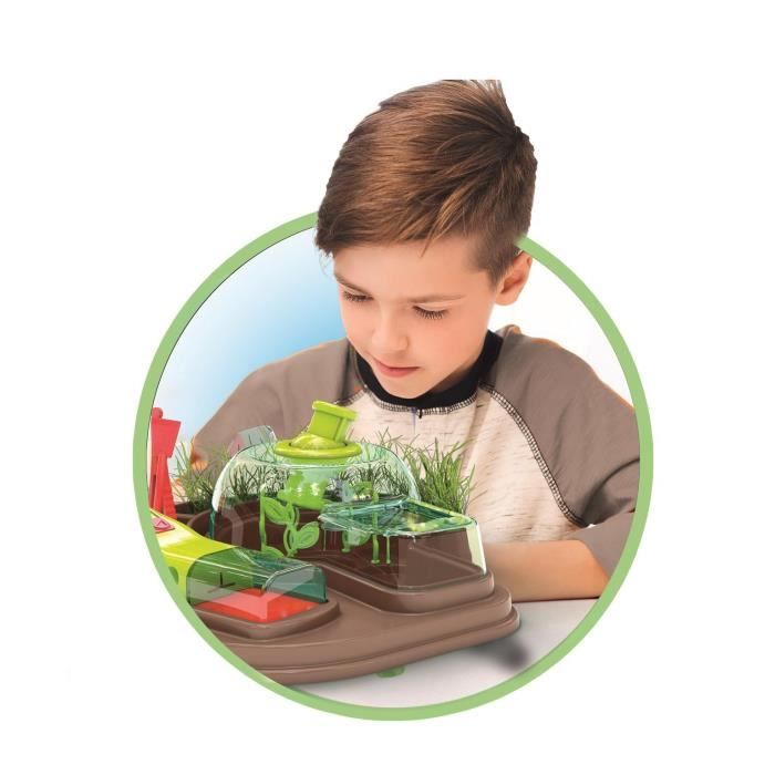 CLEMENTONI - L'observatoire des insectes