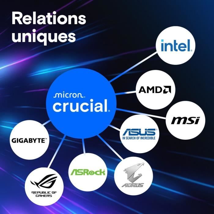 Mémoire RAM - CRUCIAL - DDR5 PRO - Kit 48 Go (2 x 24 Go) - 5600 MT/s - UDIMM - CL46 - CP2K24G56C46U5