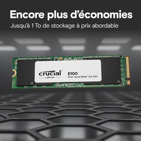 CRUCIAL E100 480G Gen4 2280