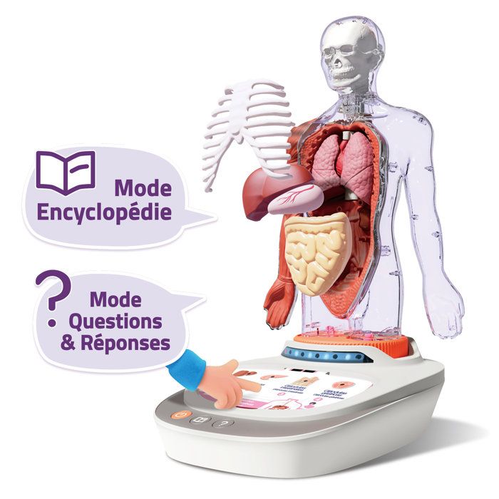 Canal Toys - So Science - Le corps humain interactif 3D avec organes amovibles et quiz éducatif - COS 005