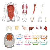 Canal Toys - So Science - Le corps humain interactif 3D avec organes amovibles et quiz éducatif - COS 005
