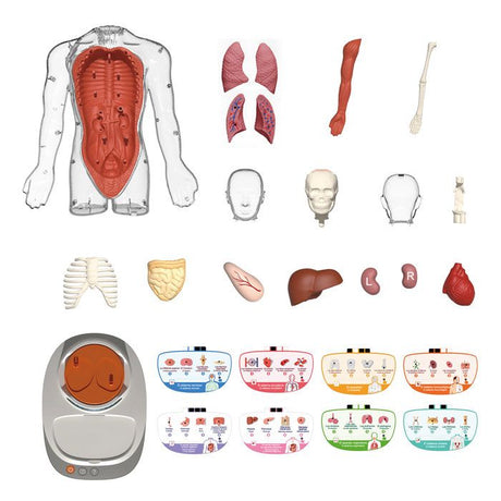 Canal Toys - So Science - Le corps humain interactif 3D avec organes amovibles et quiz éducatif - COS 005