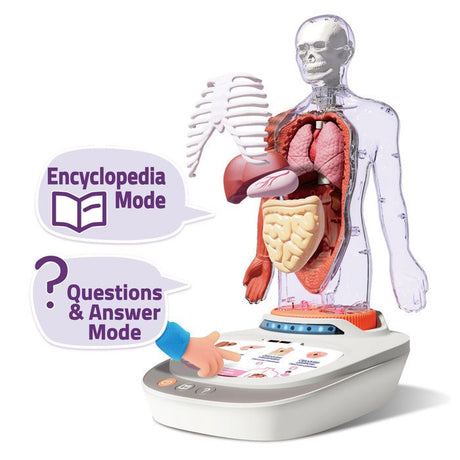 Canal Toys - So Science - Le corps humain interactif 3D avec organes amovibles et quiz éducatif - COS 005