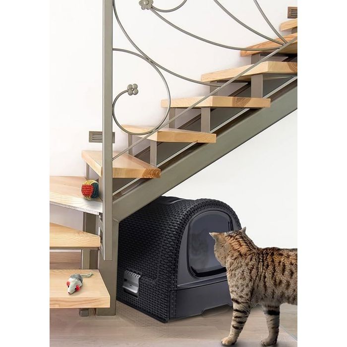 Curver Bac a litiere pour chats 51x38,5x39,5 cm Anthracite