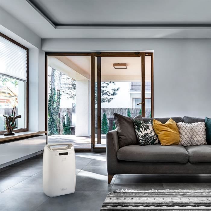 Déshumidificateur Delonghi DEXD214RF