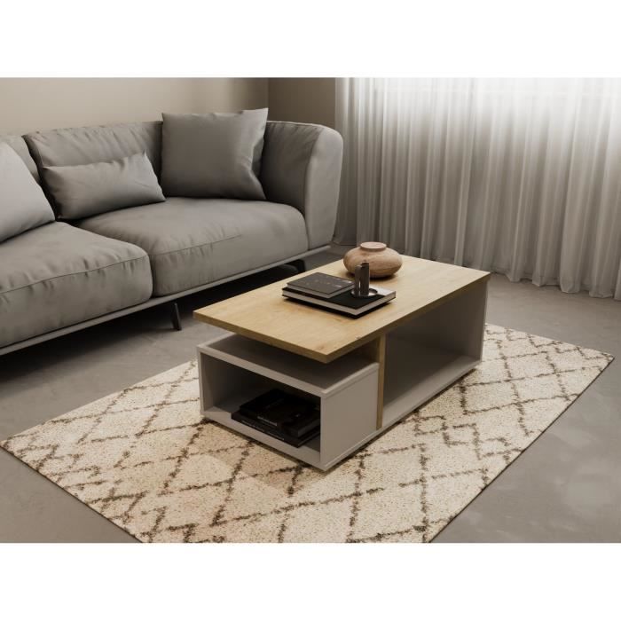 Table basse rectangulaire ACCESS - 3 Niches - Décor chene Hamilton et blanc - L 91,8 x P 50 x H 36 cm - DEMEYERE