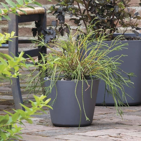 DEROMA Pot de fleurs Origin - 29 x 24 cm - 11 L - Gris