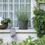 DEROMA Soucoupe Origin - 67 x h6 cm - Gris