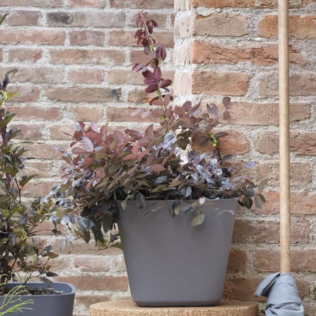 DEROMA Pot de fleurs carré Origin - 28 x 23,5 cm- 12 L - Gris
