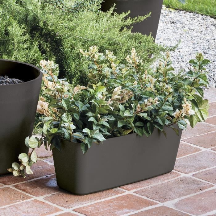 DEROMA Jardiniere Origin - 49,5x19 cm - 12 L - Anthracite