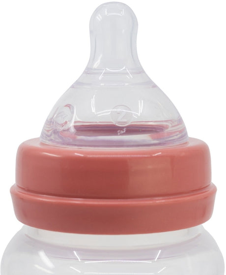 Lot de 2 biberons - DISNEY BABY - MINNIE COLLECTOR - 360 ml - Tétine silicone - Débit 3 positions