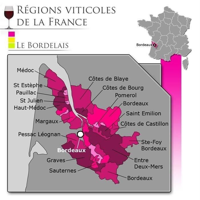 Les Demoiselles de Larrivet Haut Brion 2019 Pessac Léognan - Vin rouge de Bordeaux