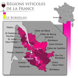 Les Demoiselles de Larrivet Haut Brion 2019 Pessac Léognan - Vin rouge de Bordeaux