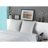 Oreiller 100% Coton - Luxor - DODO - 60 x 60 cm - Blanc