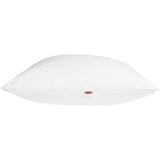 Oreiller 100% Coton - Luxor - DODO - 60 x 60 cm - Blanc