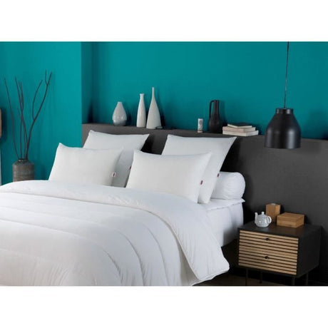 Lot de 2 Oreillers DODO - Tendance - 50 x 70 cm - Blanc