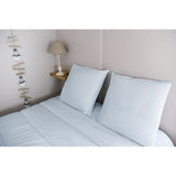 Oreiller Médium - DODO-  Punaise Protect - 60 x 60 cm - Blanc