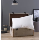 Oreiller Grand Luxe - DODO - Quallofil Allerban - 50 x 70 cm - Blanc