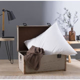 Oreiller Grand Luxe - DODO - Quallofil Allerban - 60 x 60 cm - Blanc