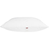 Lot de 2 Oreillers DODO - Belle Nuit - 60 x 60 cm - Blanc