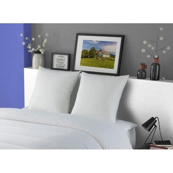 Lot de 2 Oreillers DODO - Méribel Plumettes -  60 x 60 cm - Blanc