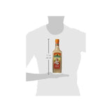 Punch Coco 18° 70cl Dormoy