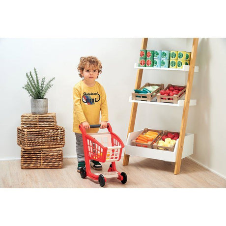 Chariot de supermarché ECOIFFIER avec caisse enregistreuse