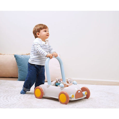 Chariot de marche - ECOIFFIER - 16 accessoires - Des 12 mois