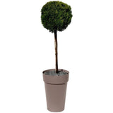 Vase haut Rond Ø 46 cm - EDA - Toscane - 67 L - Ø 46 x H. 65 cm - Taupe