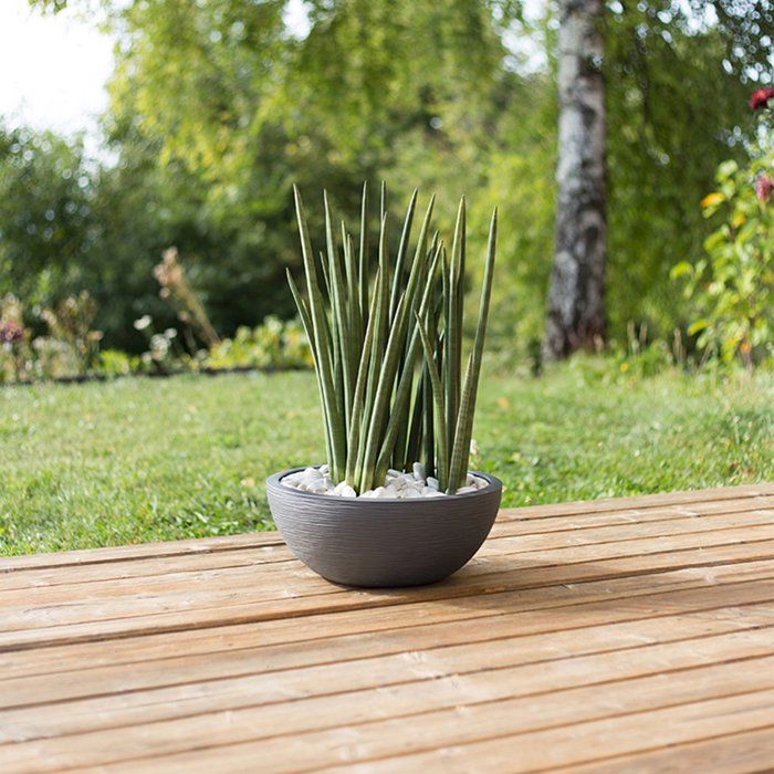 Pot vasque Ř 40 cm - EDA - Graphit Up - 14,9 L - Intérieur/ Extérieur - Décor Graphique - Ř 40 x H. 16,5 cm - Gris Anthracite