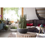 Pot vasque Ø 40 cm - EDA - Graphit Up - 14,9 L - Intérieur / Extérieur - Ø 40 x H. 16,5 cm - Gris Anthracite