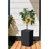 Bac a Fleurs Carré Haut 30 cm - EDA - Graphit Up - 36 L - 29,5 x 29,5 cm x H. 49,5 cm - Gris anthracite