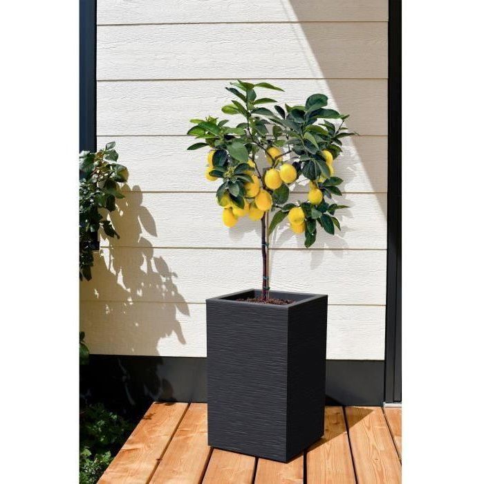 Bac a Fleurs Carré Haut 30 cm - EDA - Graphit Up - 36 L - Intérieur/ Extérieur - 29,5 x 29,5 cm x H. 49,5 cm - Gris anthracite