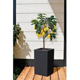 Bac a Fleurs Carré Haut 30 cm - EDA - Graphit Up - 36 L - Intérieur/ Extérieur - 29,5 x 29,5 cm x H. 49,5 cm - Gris anthracite